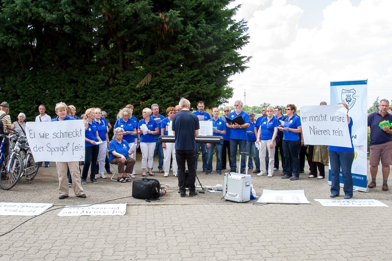 Saengerbund Schwetzingen Spargelwanderung